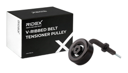 RIDEX Rullo Tendicinghia 310T0042 Puleggia Tendicinghia,Rullo tenditore, Cinghia Poly-V BMW,OPEL,LAND ROVER,3 Sedan (E46),3 Touring (E46),X5 (E53) características