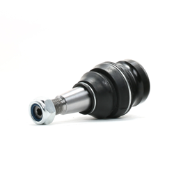 RIDEX Testina Braccio Oscillante 2462S0351 Giunto di Supporto,Giunto di supporto / guida AUDI,PORSCHE,A4 Avant (8K5, B8),Q5 (8RB),A4 Sedan (8K2, B8) características