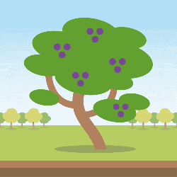 Pero d'acqua características