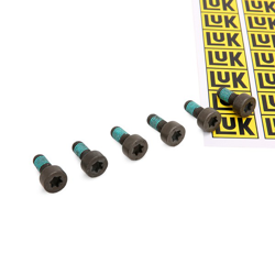 LuK Kit bulloni, Volano 411 0166 10  FORD,PEUGEOT,CITROËN,Fiesta Mk5 Hatchback (JH1, JD1, JH3, JD3),FUSION (JU_),Fiesta Mk5 Van,207 (WA_, WC_) precio