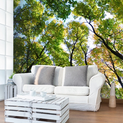 Fotomurale Looking up at the trees cm 250x193 Artgeist