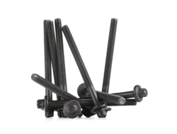 ELRING Kit Bulloni Testata 759.350  RENAULT,NISSAN,CLIO II (BB0/1/2_, CB0/1/2_),TWINGO I (C06_),KANGOO (KC0/1_),TWINGO II (CN0_) características