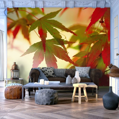Fotomurale Foglie dai colori autunnali cm 200x154 Artgeist