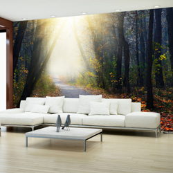 Fotomurale Strada attraverso la foresta cm 250x175 Artgeist en oferta
