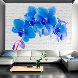 Fotomurale Eccitazione blu cm 250x175 Artgeist precio