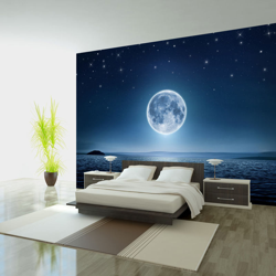 Fotomurale Moonlit night cm 300x210 Artgeist precio
