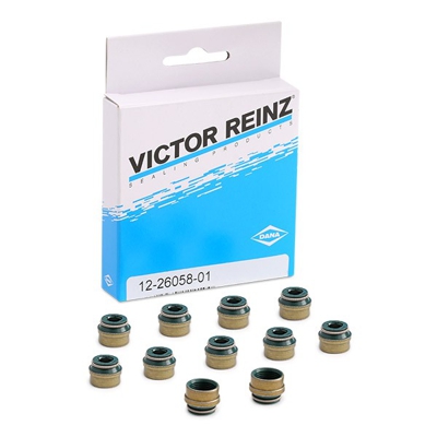 REINZ Kit guarnizioni, Gambo valvola 12-26058-01  VW,AUDI,MERCEDES-BENZ,Golf IV Hatchback (1J1),GOLF III (1H1),SHARAN (7M8, 7M9, 7M6)