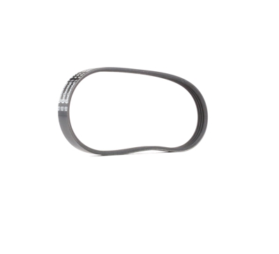 CONTITECH Cinghia Poly-V 4PK592 ELAST
