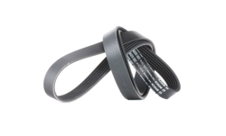 BOSCH Cinghia Poly-V 1 987 948 498  OPEL,VAUXHALL,Corsa D Hatchback (S07),Meriva A (X03),Corsa C Hatchback (X01),Astra H Caravan (A04),AGILA (A) (H00) características