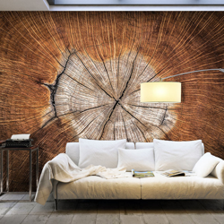 Fotomurale The Soul of a Tree cm 300x210 Artgeist precio