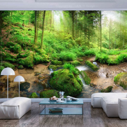 Fotomurale Humid Forest cm 250x175 Artgeist características