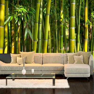 Fotomurale Oriental Garden cm 300x210 Artgeist