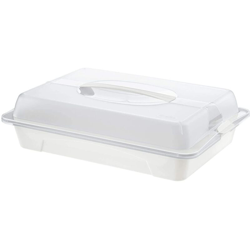 Rotho Contenitore fresco e asciutto in plastica PP, ideale per trasportare e raffreddare gli alimenti, con maniglia e cuscinetto refrigerante., características