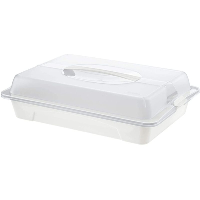 Rotho Contenitore fresco e asciutto in plastica PP, ideale per trasportare e raffreddare gli alimenti, con maniglia e cuscinetto refrigerante.,