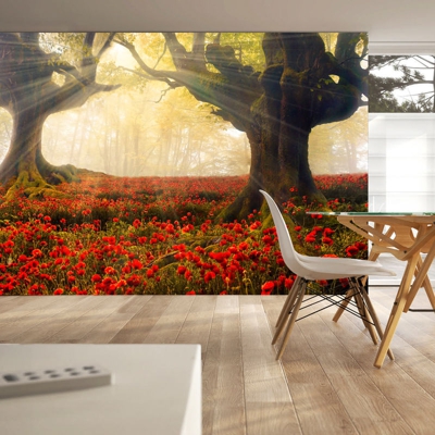 Fotomurale Mattina tra i papaveri cm 300x210 Artgeist