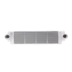 AKS DASIS Intercooler 187006N  RENAULT,SCÉNIC II (JM0/1_),MEGANE II Station wagon (KM0/1_),MEGANE II (BM0/1_, CM0/1_),GRAND SCÉNIC II (JM0/1_) en oferta