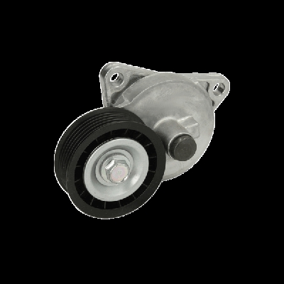 DAYCO Tendicinghia APV2104 Tendicinghia Distribuzione,Tenditore Cinghia Distribuzione RENAULT,NISSAN,DACIA,CLIO II (BB0/1/2_, CB0/1/2_)
