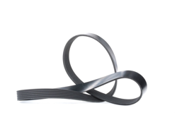 DAYCO Cinghia Poly-V 6PK1115  VW,AUDI,FIAT,Golf V Hatchback (1K1),GOLF VI (5K1),Passat Variant (3C5),TIGUAN (5N_),Passat Variant (365) en oferta