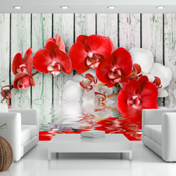 Fotomurale Orchidea color rubino cm 300x210 Artgeist precio
