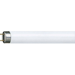 Tubo fluorescente Classe energetica: A (A++ - E) TL-D 18W/865 G13 PP 927920086522 G13 Potenza: 18 W - Philips Lighting características