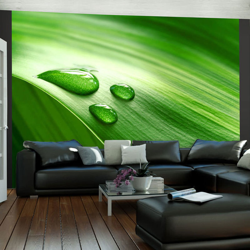 Fotomurale Una foglia con tre gocce d cm 250x193 Artgeist precio