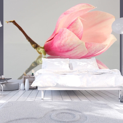 Fotomurale Fiore di magnolia solitario cm 250x193 Artgeist