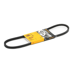 CONTITECH Cinghie Scanalate AVX10X850 Cinghia Trapezoidale,Cinghia trapezoidale VW,AUDI,MERCEDES-BENZ,GOLF I Cabriolet (155),GOLF I (17) características