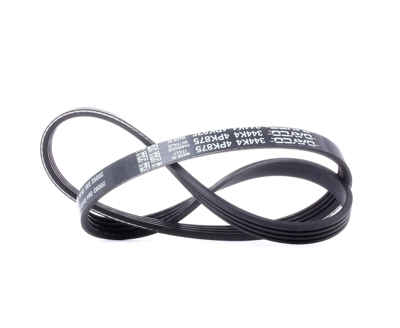 DAYCO Cinghia Poly-V 4PK875  RENAULT,TOYOTA,HYUNDAI,ESPACE II (J/S63_),21 Tre volumi (L48_),21 (B48_),21 Station wagon (K48_),21 Furgonato (S48_)