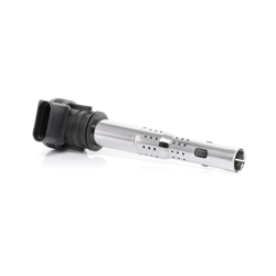 BERU Bobina ZSE033 Bobina Accensione,Bobina Motore VW,AUDI,SKODA,Golf V Hatchback (1K1),GOLF VI (5K1),Polo Hatchback (6R1, 6C1),TOURAN (1T1, 1T2) en oferta