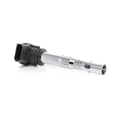 BERU Bobina ZSE033 Bobina Accensione,Bobina Motore VW,AUDI,SKODA,Golf V Hatchback (1K1),GOLF VI (5K1),Polo Hatchback (6R1, 6C1),TOURAN (1T1, 1T2)