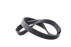 FEBI BILSTEIN Cinghia Poly-V 28905  VW,PEUGEOT,SEAT,GOLF III (1H1),SHARAN (7M8, 7M9, 7M6),Transporter IV Van (70A, 70H, 7DA, 7DH) en oferta