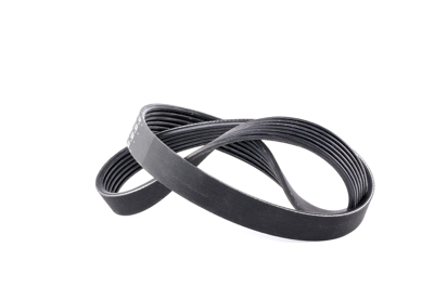 FEBI BILSTEIN Cinghia Poly-V 28905  VW,PEUGEOT,SEAT,GOLF III (1H1),SHARAN (7M8, 7M9, 7M6),Transporter IV Van (70A, 70H, 7DA, 7DH)