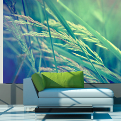 Fotomurale Cereal field cm 250x193 Artgeist precio