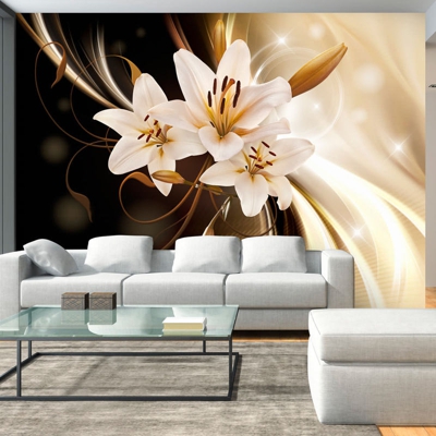 Fotomurale Circle of Light cm 300x210 Artgeist