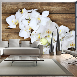 Fotomurale Delicatezza su legno cm 250x175 Artgeist características