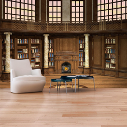Fotomurale Library of Dreams cm 250x175 Artgeist en oferta
