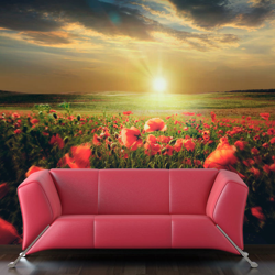Fotomurale Prato di papaveri mattinata cm 250x193 Artgeist en oferta
