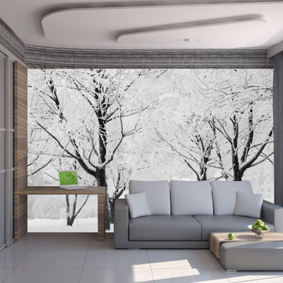 Fotomurale Alberi paesaggio invernale cm 250x193 Artgeist