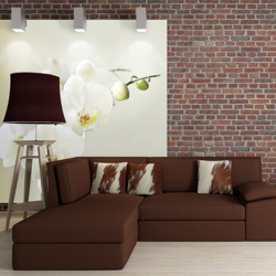 Fotomurale Bianca orchidea cm 250x193 cm 250x193 Artgeist en oferta
