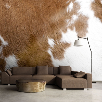 Fotomurale Pelo di mucca cm 250x193 cm 250x193 Artgeist