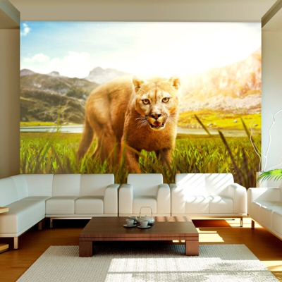 Fotomurale Watch out cm 300x210 Artgeist
