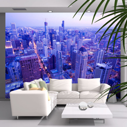 Fotomurale Timide luci di Chicago all cm 250x193 Artgeist en oferta