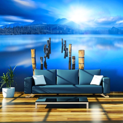 Fotomurale Il momento di solitudine cm 250x175 Artgeist