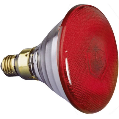 Lampadina alogena per effetti Par-38 FL rot 88081505 E27 Potenza: 80 W Rosso - N.A.