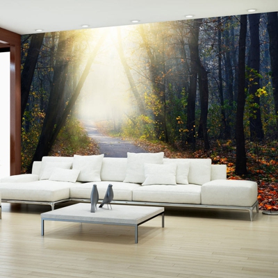 Fotomurale Strada attraverso la foresta cm 300x210 Artgeist