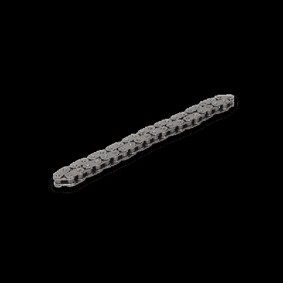 SWAG Catena, Azionamento pompa olio 30 94 0007  VW,AUDI,BMW,GOLF VI (5K1),Polo Hatchback (6R1, 6C1),GOLF PLUS (5M1, 521),TOURAN (1T3)