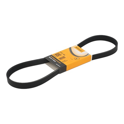 CONTITECH Cinghia Poly-V 6PK995