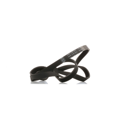 SKF Cinghia Poly-V VKMV 5PK1815  BMW,OPEL,VAUXHALL,5 Sedan (E39),3 Sedan (E36),5 Touring (E39),5 Sedan (E34),3 Touring (E36),5 Touring (E34)