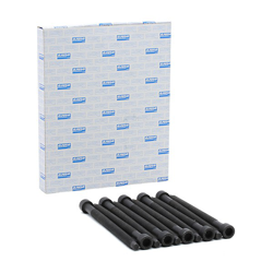 AJUSA Kit Bulloni Testata 81026000  VW,AUDI,FORD,Golf V Hatchback (1K1),POLO (9N_),Golf IV Hatchback (1J1),TOURAN (1T1, 1T2),Passat Variant (3C5) características