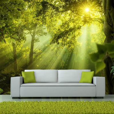 Fotomurale Nella foresta misteriosa cm 300x210 Artgeist